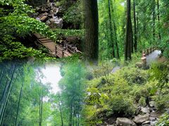 -藏龙百瀑风景区