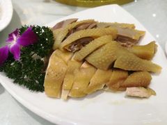 -鹅城