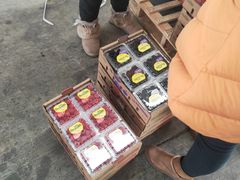 -东方鼎信农副产品交易中心