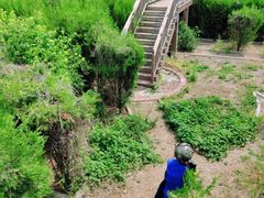 -亲兄弟真人CS团建拓展基地