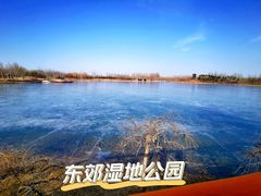 -东郊湿地公园