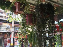 -溪岸路花鸟市场