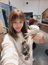 -Zoolung Zoolung动物主题公园(海信广场店)