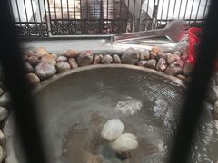 -固安来康郡来康温泉