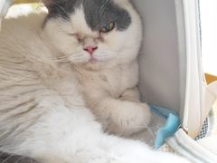 -拜鲁耶动物诊疗中心·宠家动物医院