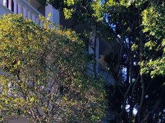 -白帝城·瞿塘峡景区