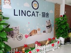 -lincat·猫舍(广州店)