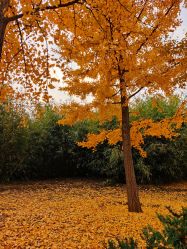 -大望京儿童游乐场