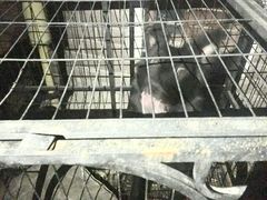 -萨拉漫饮食(北京中路店)