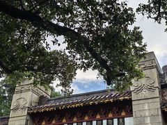 -长洲岛