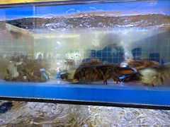 -启博美食城(孟家店)