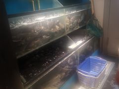 -老板恋上鱼(印象城店)