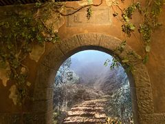 -中国茶叶博物馆(双峰馆区)