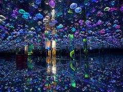 -梵高星空艺术馆(北京旗舰店)