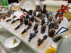 -海晖酒楼·顺德鱼生(荣华店)