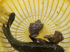 -鑫鸿达·海鲜闽菜热炒小馆(中山路店)