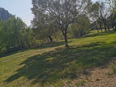 -长白岛森林公园