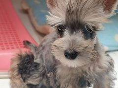 -乐宠宠物店(世纪金源店)