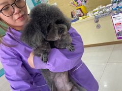 -天宠宠物医院24小时·急重症诊疗中心·全科·腔镜特色(和平分院)