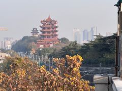 -黄鹤楼公园(黄鹤楼)