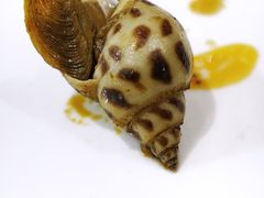 -广东名门