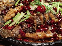 -老板恋上鱼(恒隆广场店)