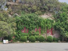 -嵖岈山风景区