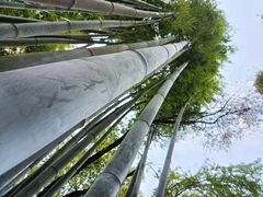 -广东温泉宾馆