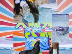 -南昌海洋公园