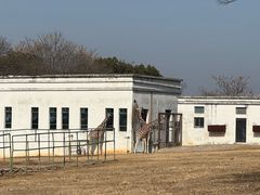 -合肥野生动物园
