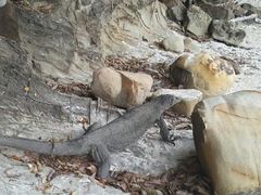 android_upload_pic-东姑阿都拉曼海洋公园