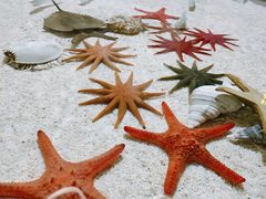 -福州罗源湾海洋世界旅游区