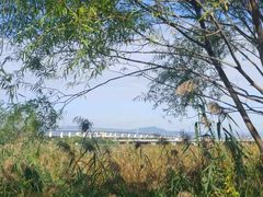 -绿堤公园