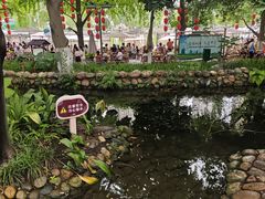 -成都市活水公园