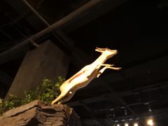 -陕西自然博物馆