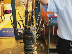 -国际金钻海鲜餐厅