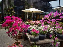 -瓦库茶馆17号(海汇港店)