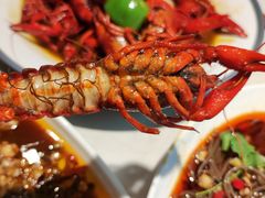 -杨氏青龙虾·羊蝎子(金盛路总店)