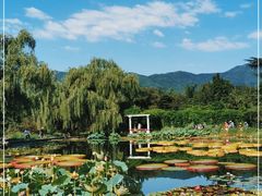 -国家植物园南园