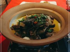 -龙巢盱眙龙虾·牛蛙·烧烤宵夜(八卦岭店)