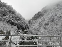 -秦岭风景区
