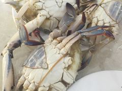 -春华海鲜城(广场西苑店)