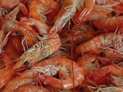 -J cafe 朝夕餐厅