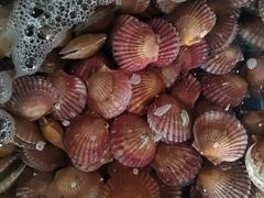 -和源祥·日照菜扛把子(万平口一店)