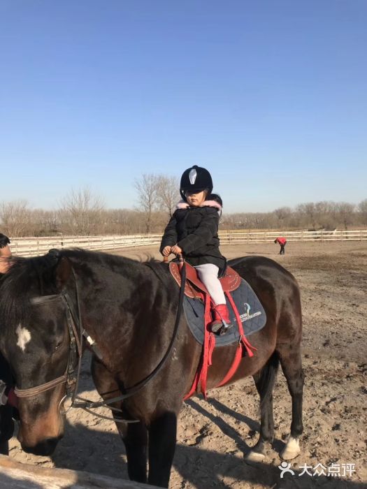 月河湾马术俱乐部(朝阳店)图片