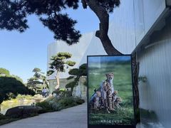 -罗红摄影艺术馆