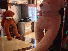 -纯K(打浦桥店)