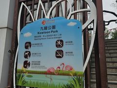 -九龙公园