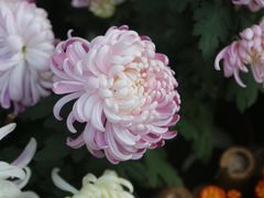 -汇龙潭