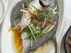 -众味海鲜大排档·活海鲜·潮汕味(南澳店)
